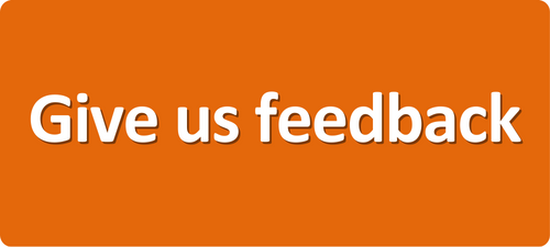Give us your feedback as a young person webpage.